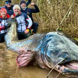 La noticia despertó admiración en toda la comunidad de pesca internacional, que ya considera al siluro de Rybnik como una de las capturas más imponentes de la historia moderna.