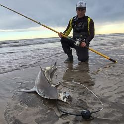 Iniciado en 2010, este proyecto de marcado ya es el más longevo del país en materia de ciencia ciudadana, y un ejemplo de cómo la pesca deportiva con devolución puede convertirse en una herramienta concreta para la conservación marina. 