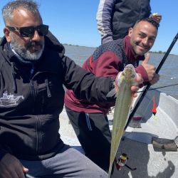 Con el pejerrey como principal protagonista, o en ámbitos que tienen carpas y tarariras como alternativas, octubre se despide con una buena pesca que promete extenderse hasta fin de año. Los óptimos niveles de agua de los ámbitos no sólo aseguran un buen presente sino que ilusionan de cara a un futuro promisorio. 