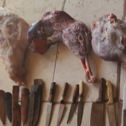 Los cuchillos incautados.