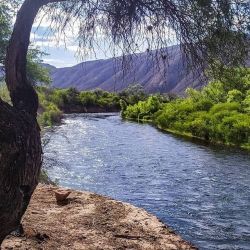 La Secretaría no brindó explicaciones públicas sobre los criterios técnicos o sociales que motivaron la resolución original, ni sobre los argumentos para su suspensión. 