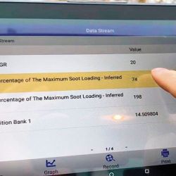Cómo afecta el DPF durante una travesía off road. Por qué algunos eligen eliminarlo.