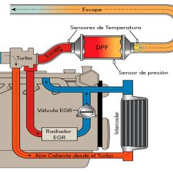 Cómo afecta el DPF durante una travesía off road. Por qué algunos eligen eliminarlo.