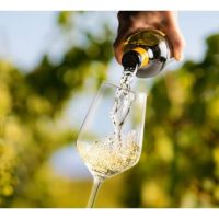 Vinos de bajo alcohol y sin alcohol: la nueva frontera del consumo consciente