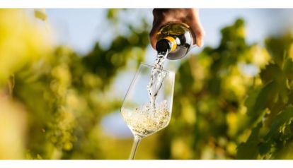 Vinos de bajo alcohol y sin alcohol: la nueva frontera del consumo consciente