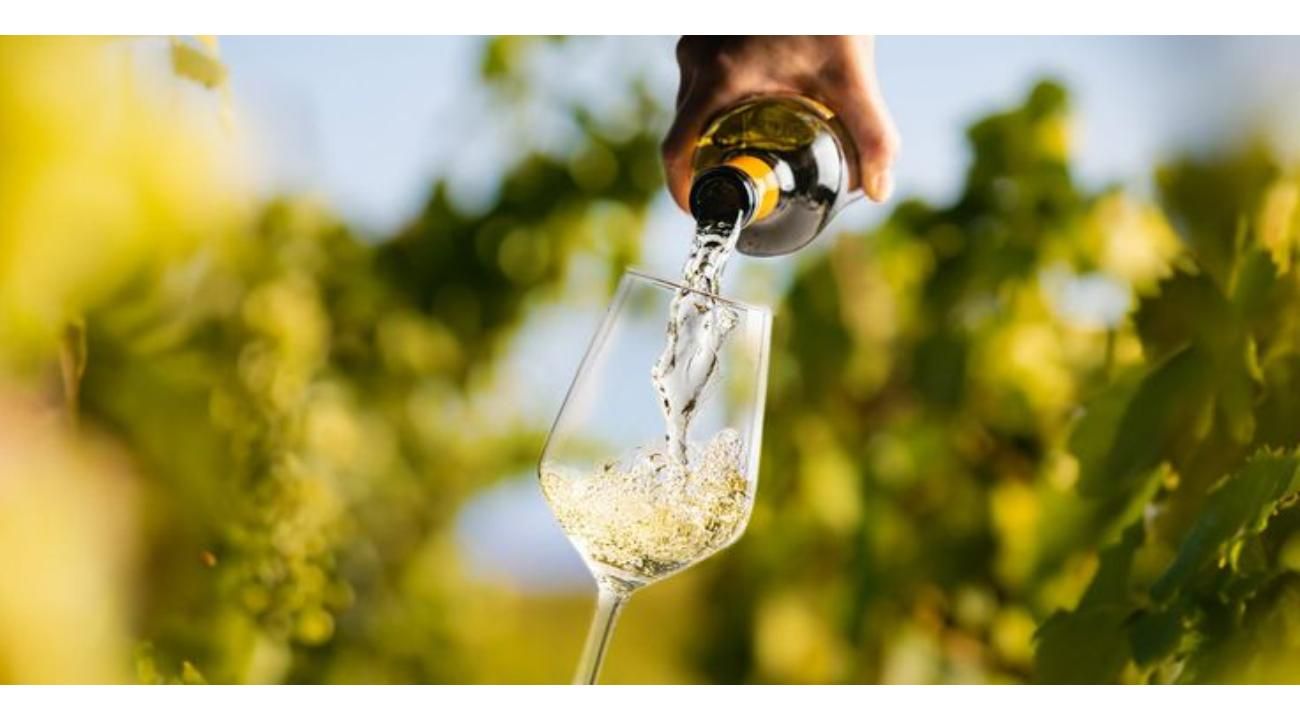 Vinos de bajo alcohol y sin alcohol: la nueva frontera del consumo consciente