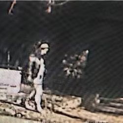 Last image of Cecilia alive.