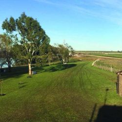 Tras la recuperación de los niveles hídricos en las lagunas de la zona, la repoblación representa un paso importante hacia la conservación de los ecosistemas naturales, contribuyendo al cuidado del ambiente y al aprovechamiento responsable de los recursos naturales.