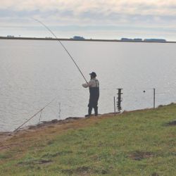 Tras la recuperación de los niveles hídricos en las lagunas de la zona, la repoblación representa un paso importante hacia la conservación de los ecosistemas naturales, contribuyendo al cuidado del ambiente y al aprovechamiento responsable de los recursos naturales.