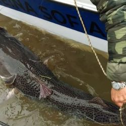 Respetar la veda no solo protege el ciclo natural de los peces, sino que contribuye a conservar la biodiversidad y mantener el equilibrio ecológico de los ríos.