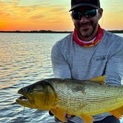 Este dorado fue marcado el 4 de octubre y fue recapturado 18 días más tarde, en el mismo lugar del Isoró. 