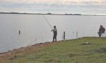 Más pejerreyes a las lagunas bonaerenses