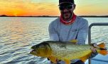 Un dorado récord: 3 capturas en menos de un mes y más de 500 km de viaje