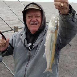 Sin lugar a dudas, serán las últimas fichas para la pesca del pejerrey, habrá que aprovecharlas y disfrutarlas mientras se pueda. Noviembre suele mantenerse con capturas, pero a medida que se viene el calor, su actividad disminuirá. A estar atentos a las jornadas con buenos caudales en el río, a las bajas temperaturas y buscar al Flecha de Plata. 