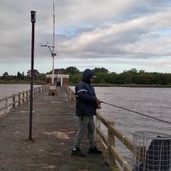 Sin lugar a dudas, serán las últimas fichas para la pesca del pejerrey, habrá que aprovecharlas y disfrutarlas mientras se pueda. Noviembre suele mantenerse con capturas, pero a medida que se viene el calor, su actividad disminuirá. A estar atentos a las jornadas con buenos caudales en el río, a las bajas temperaturas y buscar al Flecha de Plata. 
