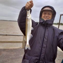 Sin lugar a dudas, serán las últimas fichas para la pesca del pejerrey, habrá que aprovecharlas y disfrutarlas mientras se pueda. Noviembre suele mantenerse con capturas, pero a medida que se viene el calor, su actividad disminuirá. A estar atentos a las jornadas con buenos caudales en el río, a las bajas temperaturas y buscar al Flecha de Plata. 