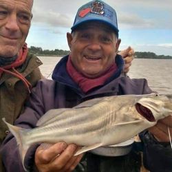 Sin lugar a dudas, serán las últimas fichas para la pesca del pejerrey, habrá que aprovecharlas y disfrutarlas mientras se pueda. Noviembre suele mantenerse con capturas, pero a medida que se viene el calor, su actividad disminuirá. A estar atentos a las jornadas con buenos caudales en el río, a las bajas temperaturas y buscar al Flecha de Plata. 
