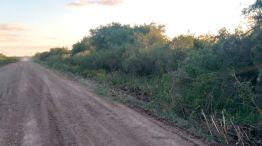 restos-oseos-humanos-entre-rios