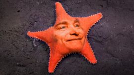 Javier Milei superstar.