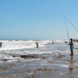 En esta edición no se realizaron modificaciones en la cancha de pesca, quedando desde las inmediaciones de la Albufera en Reta hasta la zona denominada El Pescadero, en Orense. 