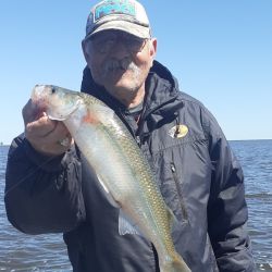 Tras dos fines de semana signados por el mal clima en parte del país, se avecinan jornadas de agradable temperatura y sin lluvias para disfrutar de la buena pesca en gran cantidad de ámbitos del país. 