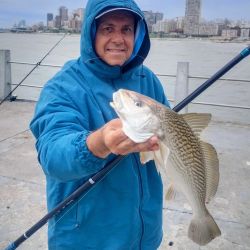 Tras dos fines de semana signados por el mal clima en parte del país, se avecinan jornadas de agradable temperatura y sin lluvias para disfrutar de la buena pesca en gran cantidad de ámbitos del país. 