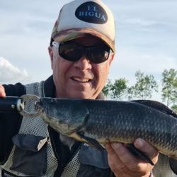 Tras dos fines de semana signados por el mal clima en parte del país, se avecinan jornadas de agradable temperatura y sin lluvias para disfrutar de la buena pesca en gran cantidad de ámbitos del país. 