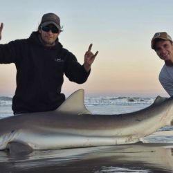 Tras dos fines de semana signados por el mal clima en parte del país, se avecinan jornadas de agradable temperatura y sin lluvias para disfrutar de la buena pesca en gran cantidad de ámbitos del país. 