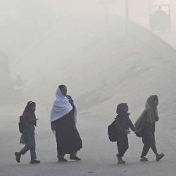 Niños escolares cruzan una calle entre la niebla en Lahore. Foto de Arif ALI / AFP | Foto:AFP
