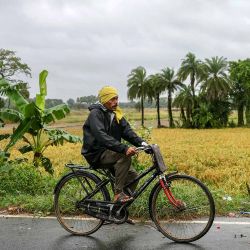 Un hombre monta una bicicleta junto a un campo en un pueblo de Muzaffarpur. Foto de Niharika KULKARNI / AFP | Foto:AFP