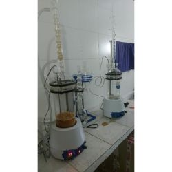 Fungi Gesell: especialistas en hongos gourmet y adaptógenos | Foto:CONTENT NOTICIAS