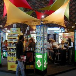 Mamboretá: protección garantizada para los cultivos domésticos | Foto:CONTENT NOTICIAS