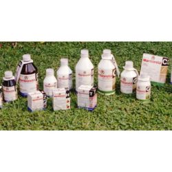 Mamboretá: protección garantizada para los cultivos domésticos | Foto:CONTENT NOTICIAS