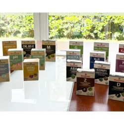 Mamboretá: protección garantizada para los cultivos domésticos | Foto:CONTENT NOTICIAS