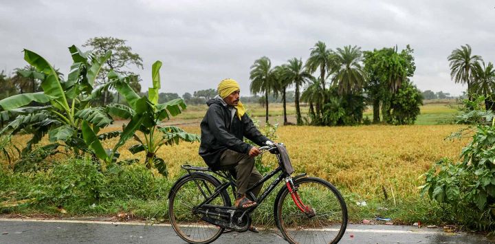 Un hombre monta una bicicleta junto a un campo en un pueblo de Muzaffarpur. Foto de Niharika KULKARNI / AFP