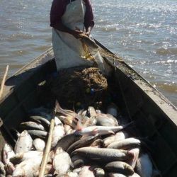 La Asociación de Pescadores del Litoral (APDL), junto a otras organizaciones aportaron fundamentos técnicos que ayudaron a la decisión. 