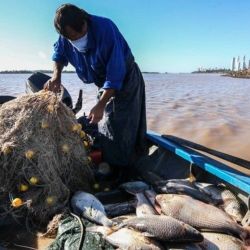 La Asociación de Pescadores del Litoral (APDL), junto a otras organizaciones aportaron fundamentos técnicos que ayudaron a la decisión. 