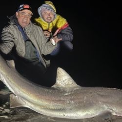 La carnada, infalible: media lisa mediana, atada firmemente con hilo de goma para que aguante el embate del oleaje, dejando la punta del anzuelo bien libre.