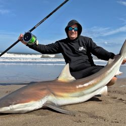 La carnada, infalible: media lisa mediana, atada firmemente con hilo de goma para que aguante el embate del oleaje, dejando la punta del anzuelo bien libre.