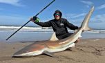 Cazones y bacotas, un combo tiburonero en el Faro Querandi