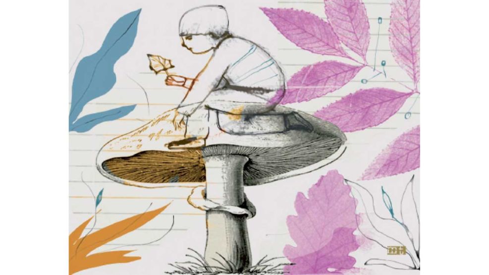 02_11_2025_plantas_martatoledo_g