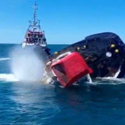 El buque Kyokko Rúa es el nuevo atractivo subacuático de Mar del Plata. 