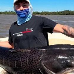 Los pescadores vivieron una jornada excepcional pescando en la zona del camping del sindicato Luz y Fuerza, sobre el río Uruguay, en una extracción que quedó registrada en un video. 