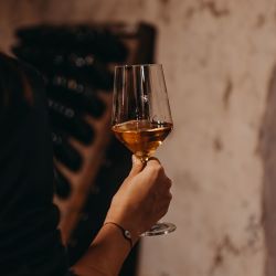 Bodega Rosell Boher en Delirio