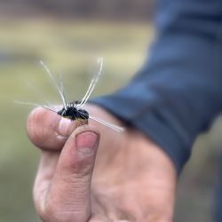 Cuando la pasión se lleva en la sangre: Thiago Zalazar tiene 16 años y sueña con ser guía de pesca.