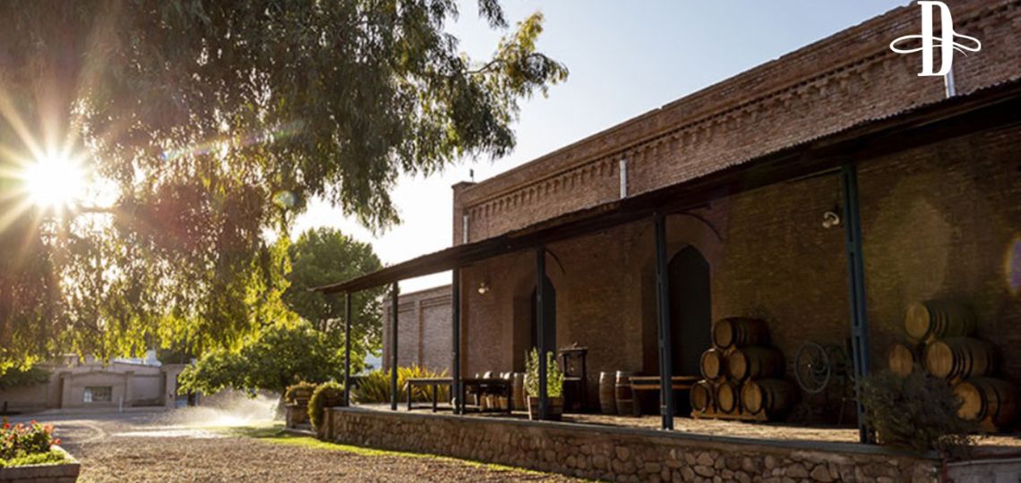 Bienvenida Rosell Boher a Delirio