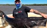 En Concordia pescaron un surubí negro de 45 kg