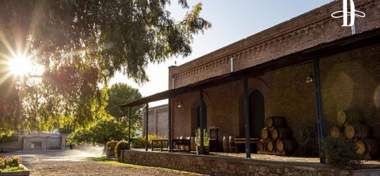 Bodega Rosell Boher en Delirio