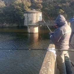 Desde el 1 de noviembre está en marcha la temporada. Hay cambios en los cupos, días autorizados y modalidades para gestionar el permiso, tanto presencial como online.