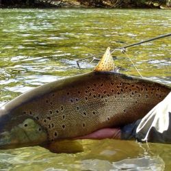 La temporada comenzó con muy buenas condiciones climáticas, lo que permite proyectar una excelente actividad tanto para pescadores locales como para quienes eligen la Patagonia como destino de pesca deportiva.